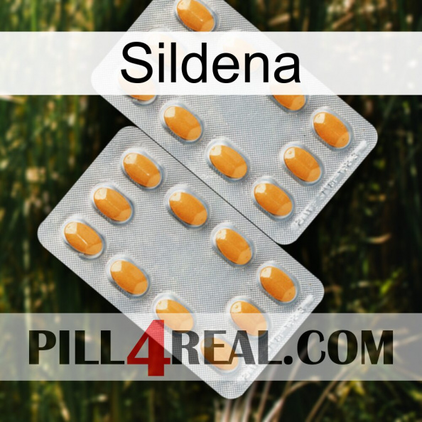 Sildena cialis4.jpg